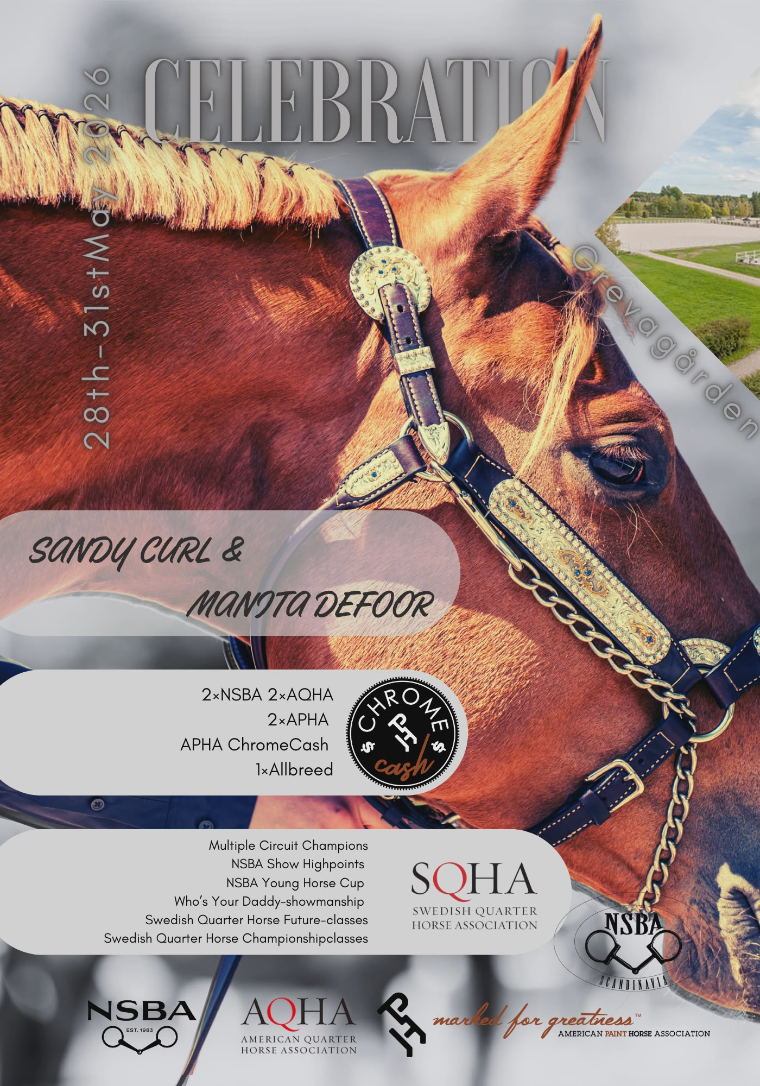 NSBA Scandinavia Celebration