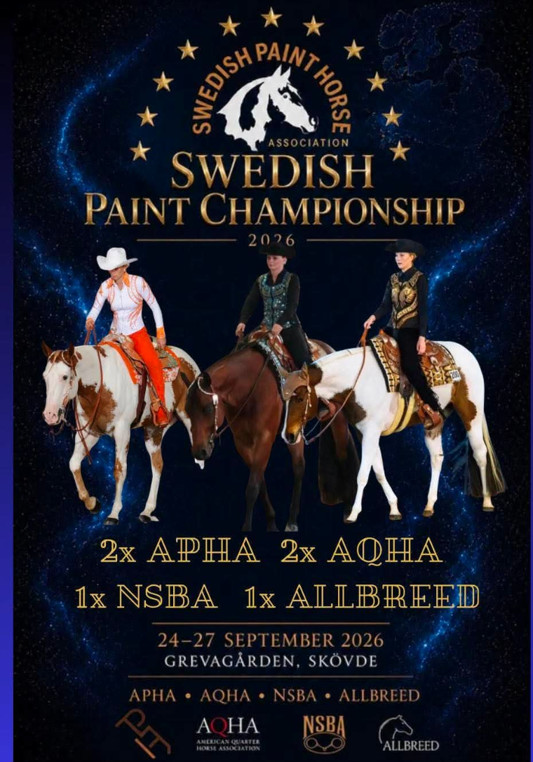 Swedish Paint Championship
