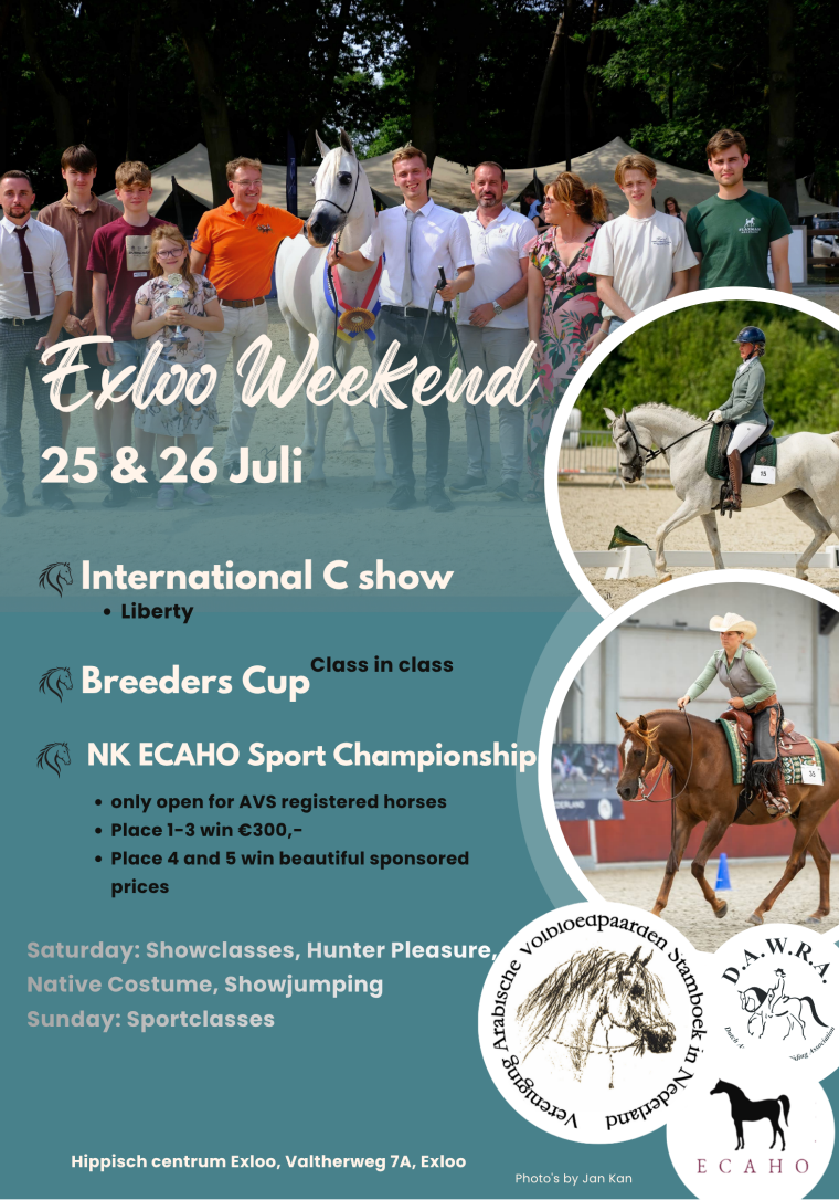 Internationale C show & Breeders Cup & NK ECAHO Sport
